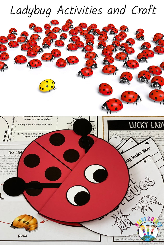 Ladybugs are Amazing Little Critters That Help Our Planet