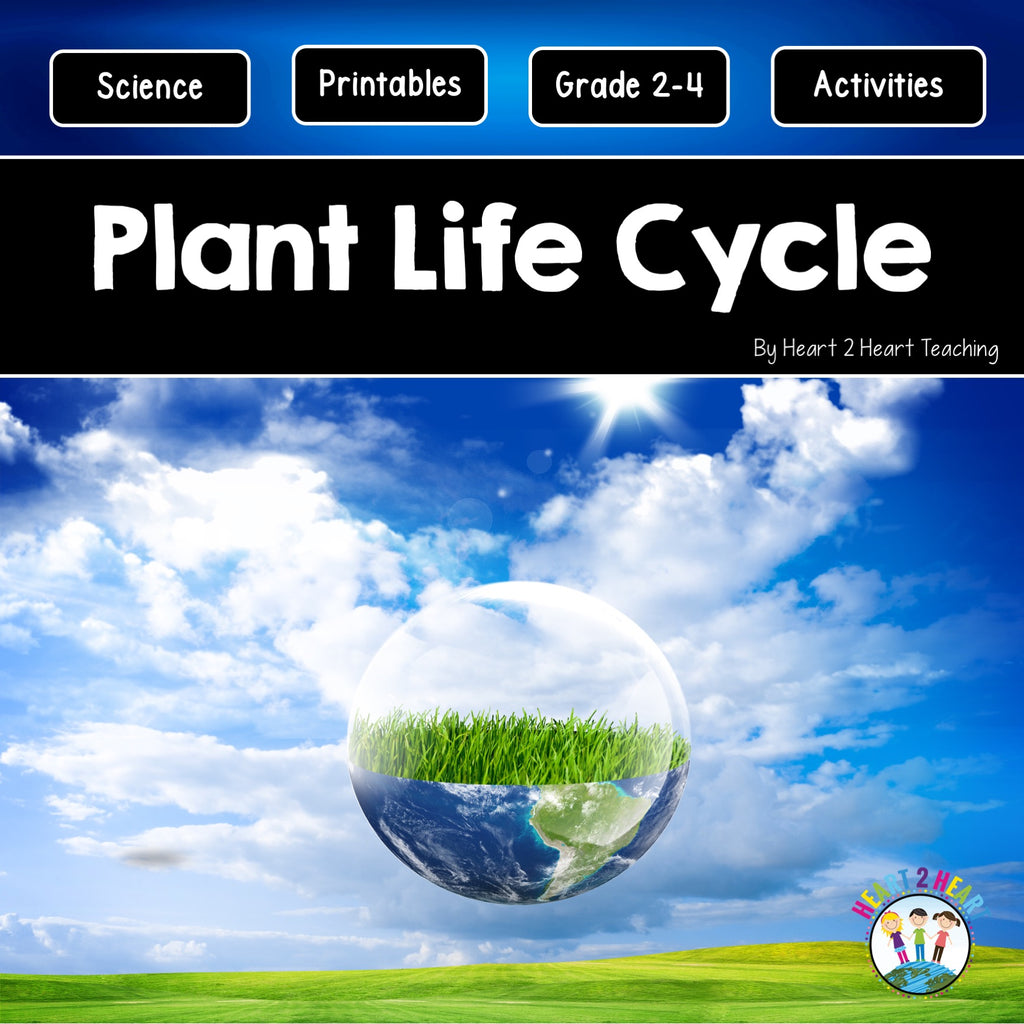 From Seed to Sprout: The Life Cycle of a Plant Activity Pack