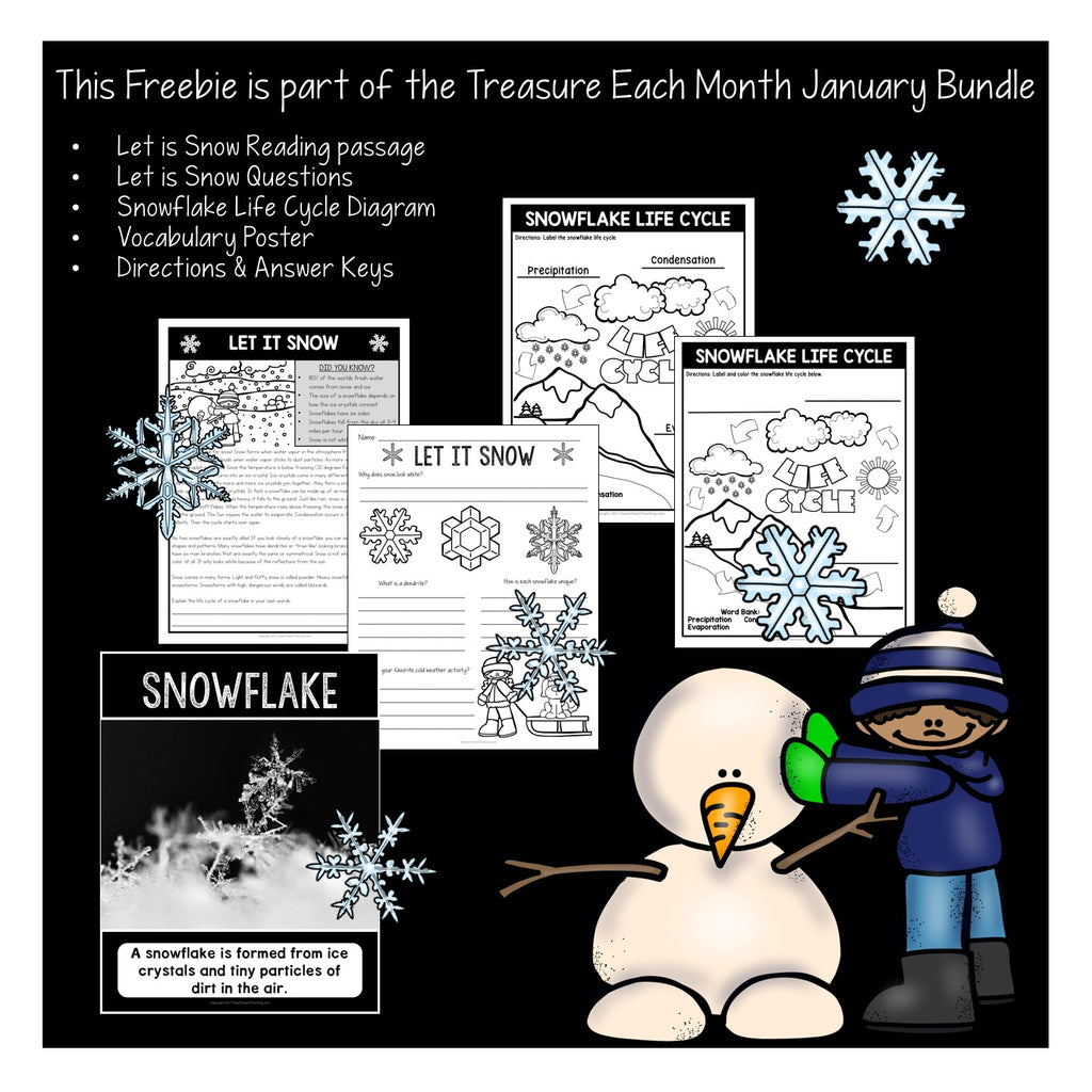 All About Snowflakes Activity Freebie