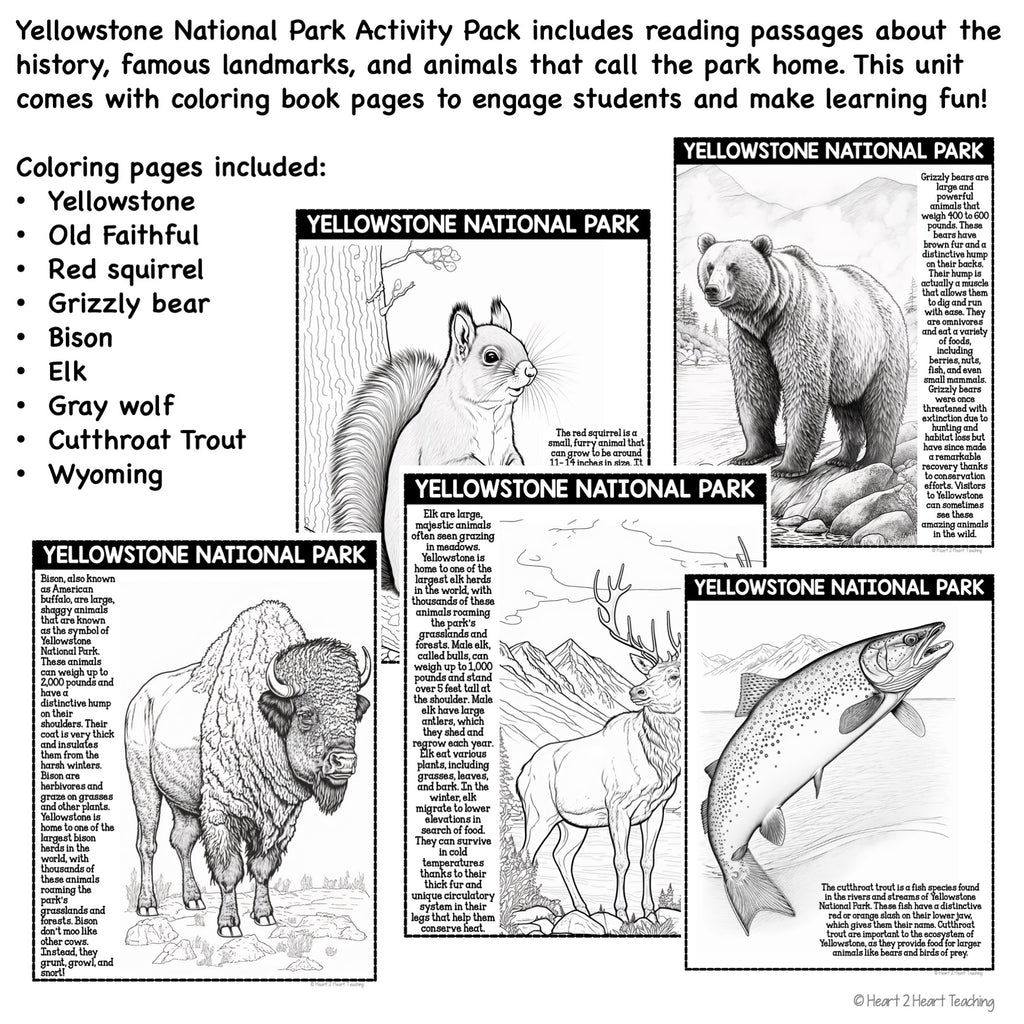 Yellowstone National Park Coloring Pages