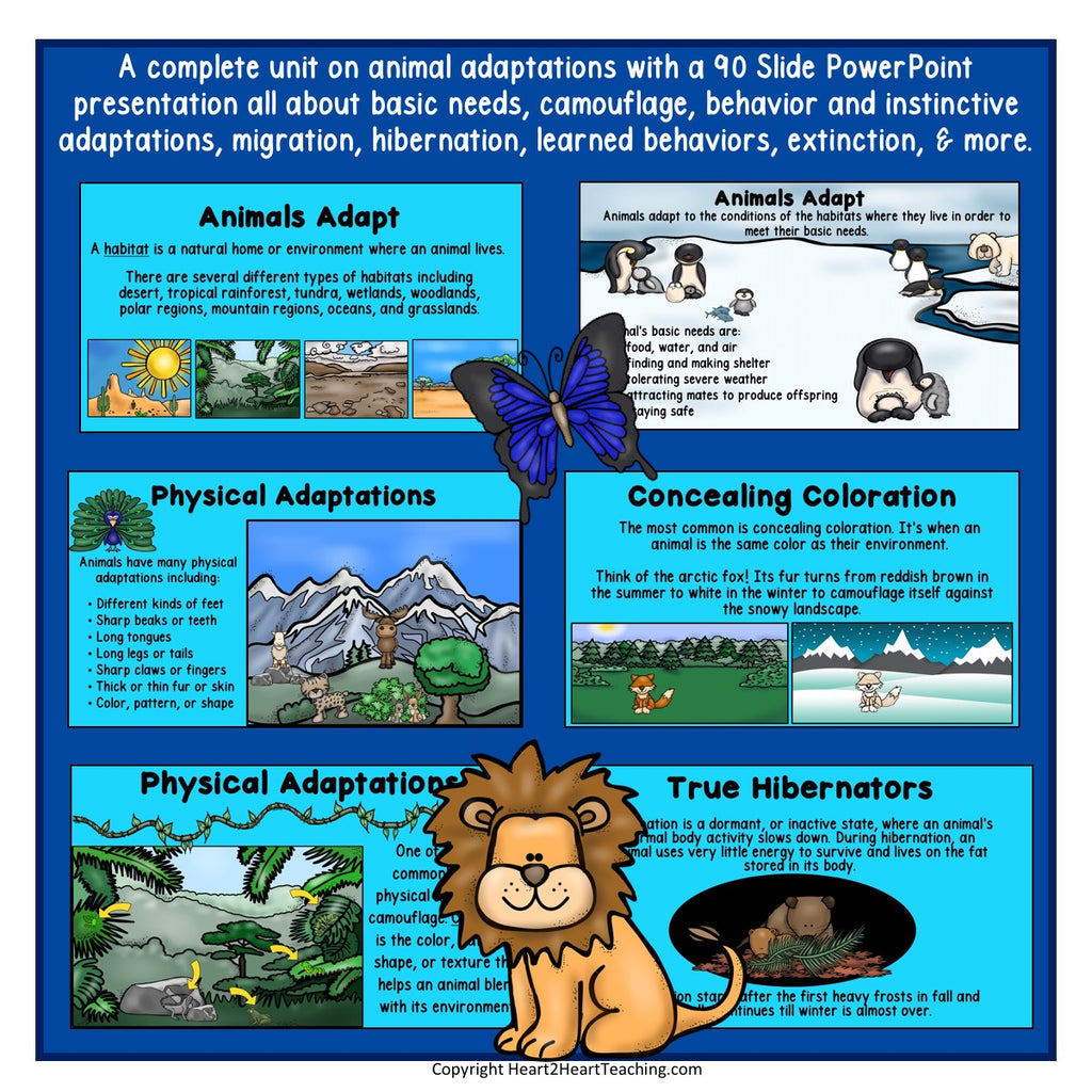 Animal Adaptions Powerpoint