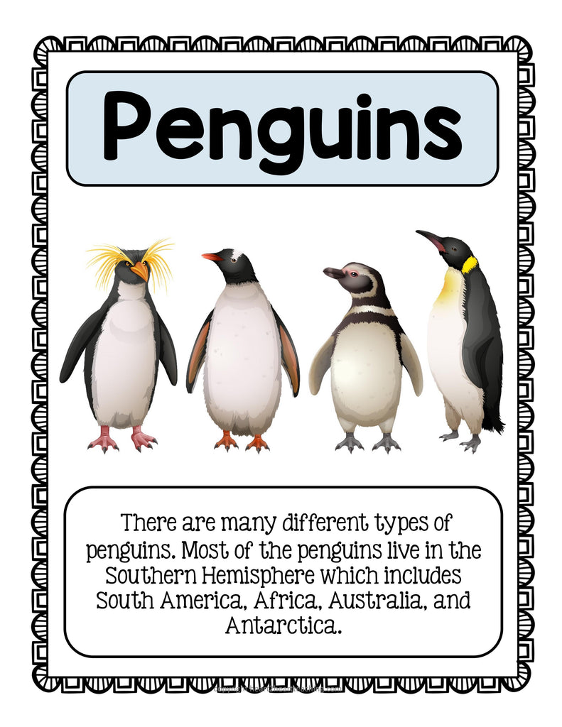 Life Cycle of a Penguin Activity Freebie