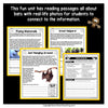 Flying Mammals, Great Helpers and Just Hanging Around bat reading passages with real photographs
