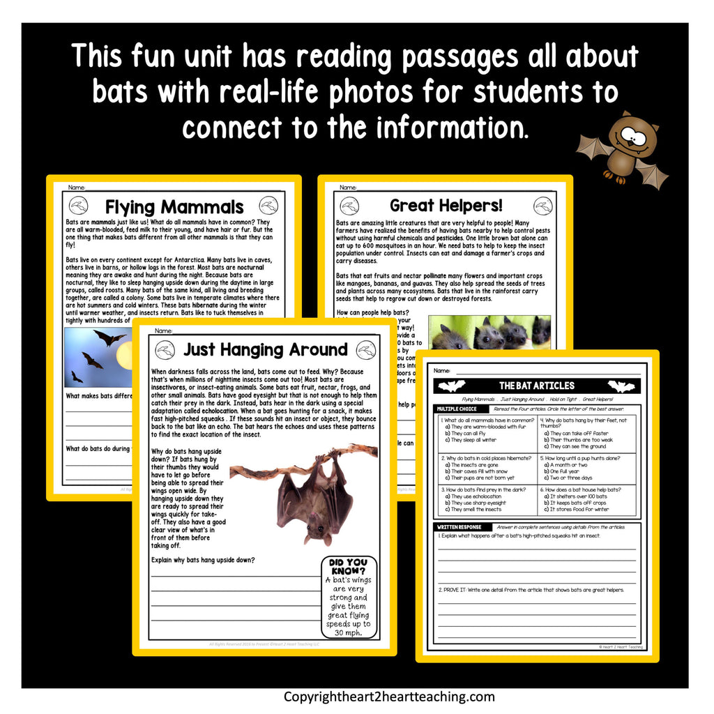 Flying Mammals, Great Helpers and Just Hanging Around bat reading passages with real photographs
