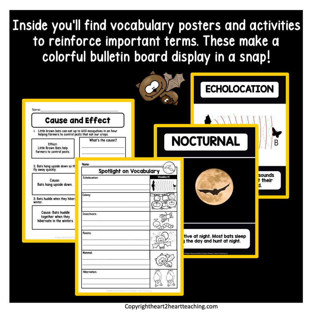 Bat vocabulary posters for echolocation and nocturnal with a cause and effect worksheet