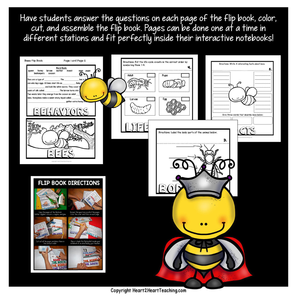 Bee flip book with life cycle sequencing, labelling bee body parts and a facts page