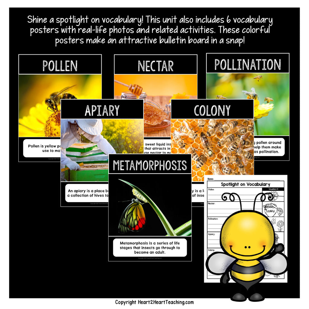Bee vocabulary posters with real photos for pollen, nectar, pollination, apiary, colony and metamorphosis