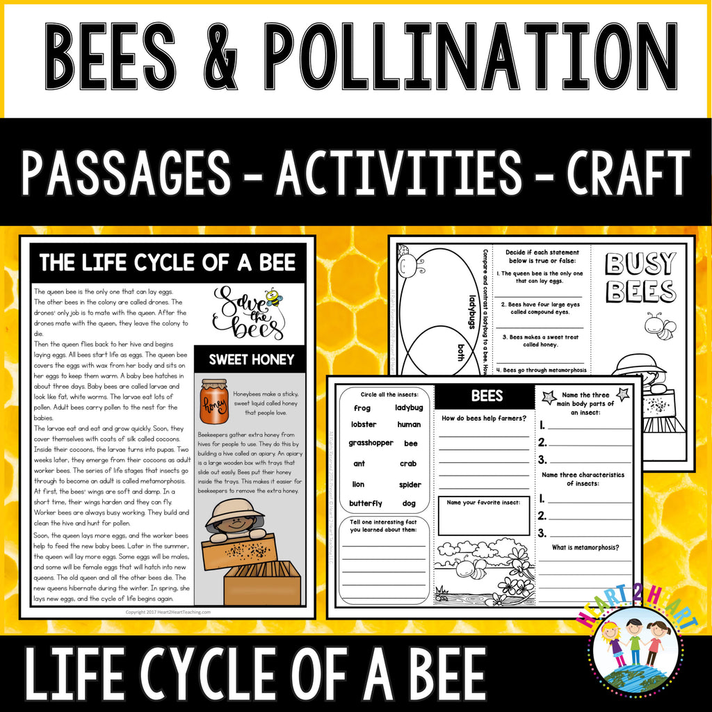 Bees and pollination passages, activities and craft pack featuring the life cycle of a bee