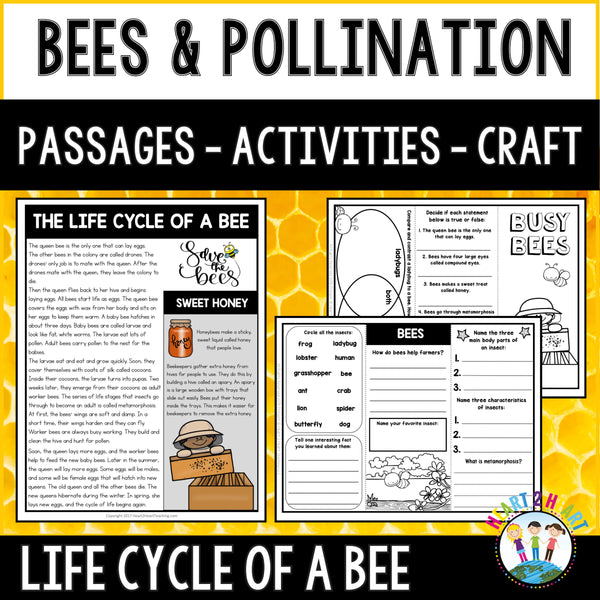 Bees and pollination passages, activities and craft pack featuring the life cycle of a bee