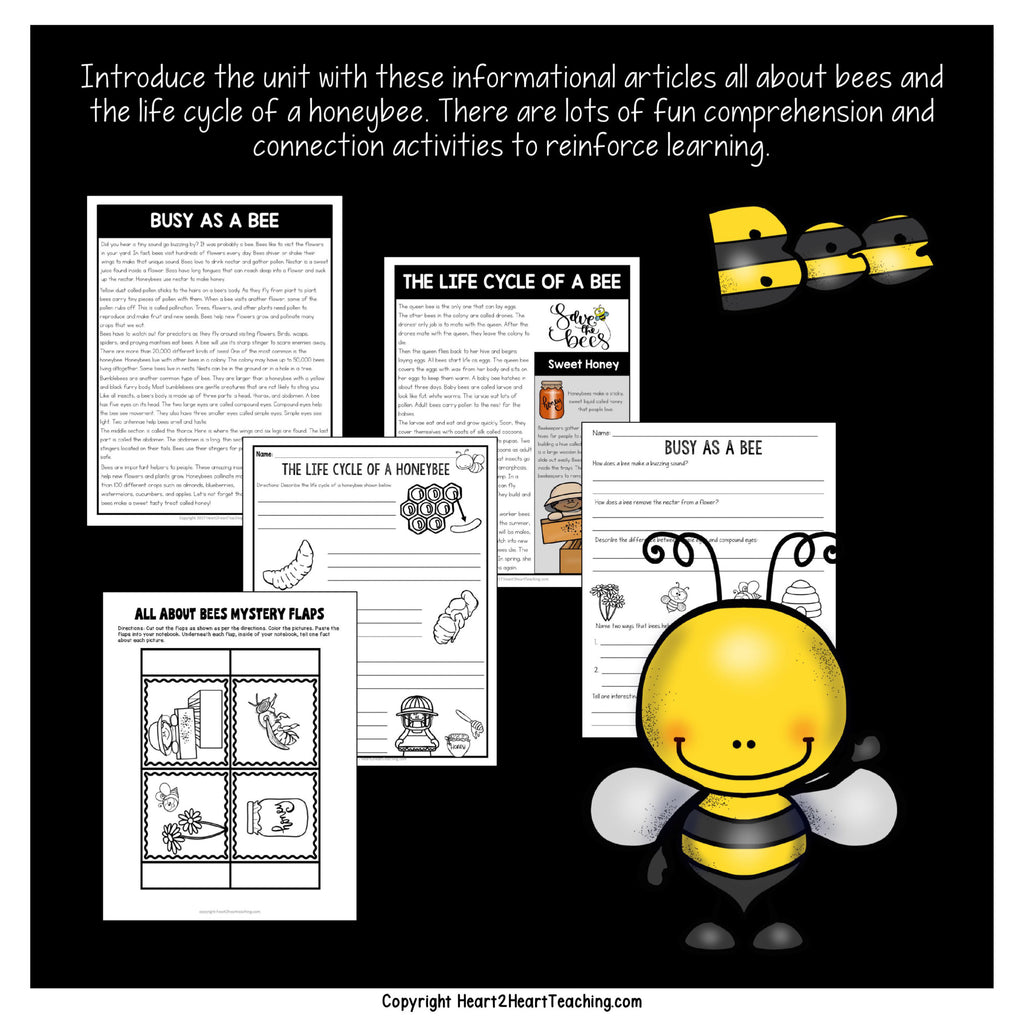 Busy as a Bee and Life Cycle of a Bee informational reading passages with an all about bees mystery flap activity