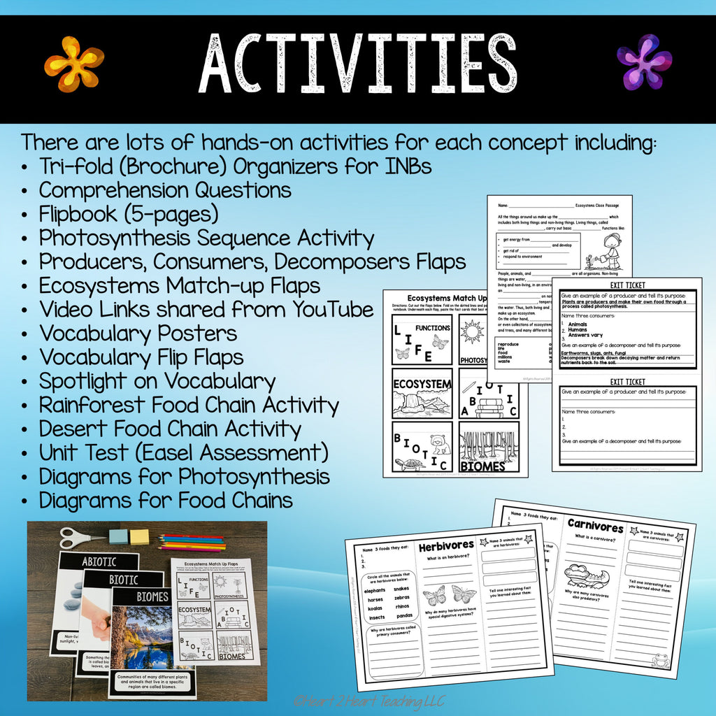 Hands-on ecosystems activities including trifold organizers, exit tickets and rainforest and desert food chains