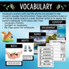 Ecosystems vocabulary posters with real photos for biotic, abiotic, biomes, environment and ecosystem
