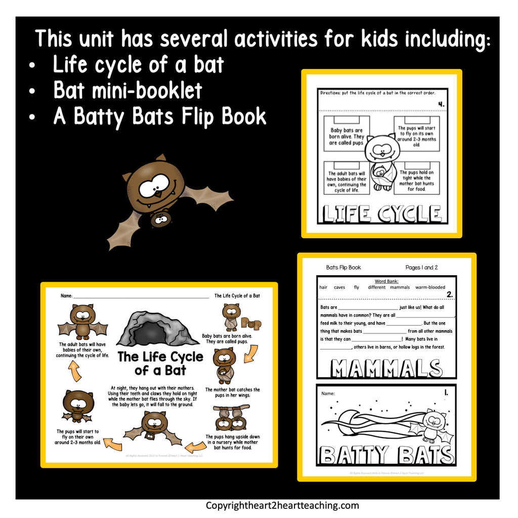 Life cycle of a bat sequencing activity and a Batty Bats flip book with a mammals word bank page