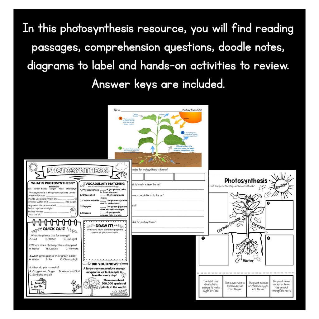 Photosynthesis diagram to label and a cut and paste sequencing activity with answer keys