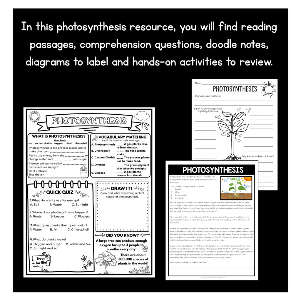 Photosynthesis doodle notes page with vocabulary matching, a quick quiz and a draw it box