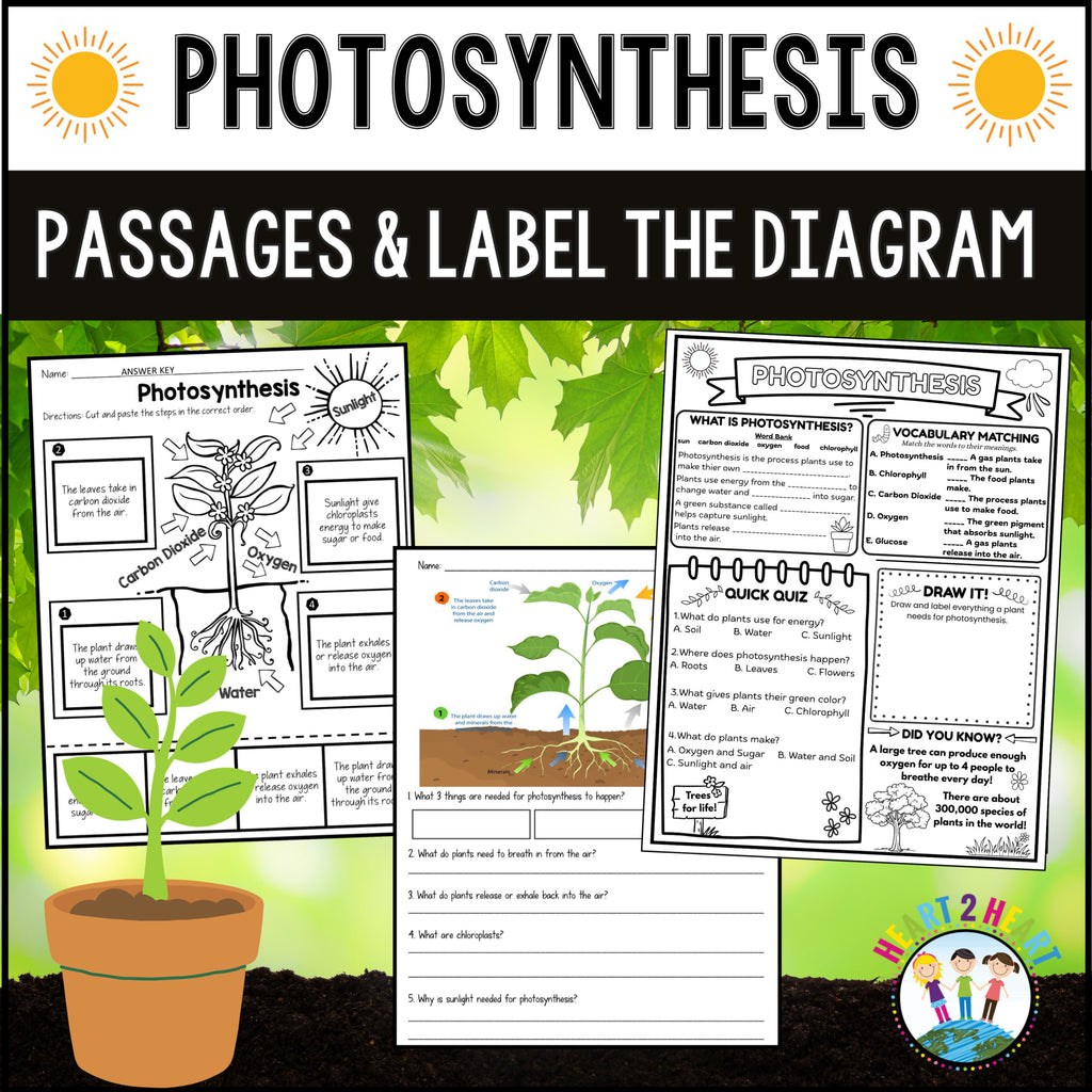 Photosynthesis passages and label the diagram activities for science centers
