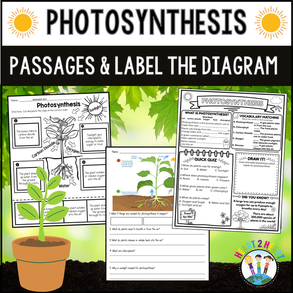 Photosynthesis passages and label the diagram activities for science centers