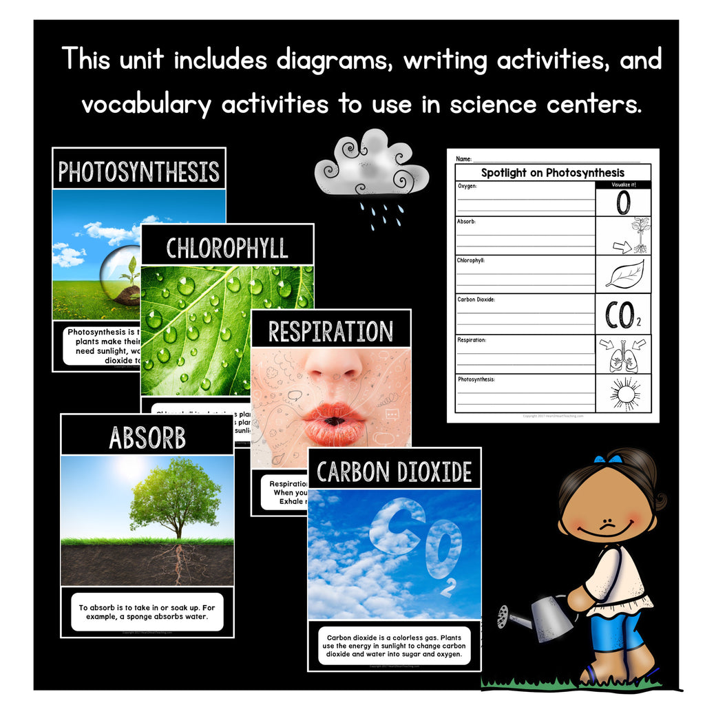 Photosynthesis vocabulary posters with real photos for chlorophyll, respiration, absorb and carbon dioxide