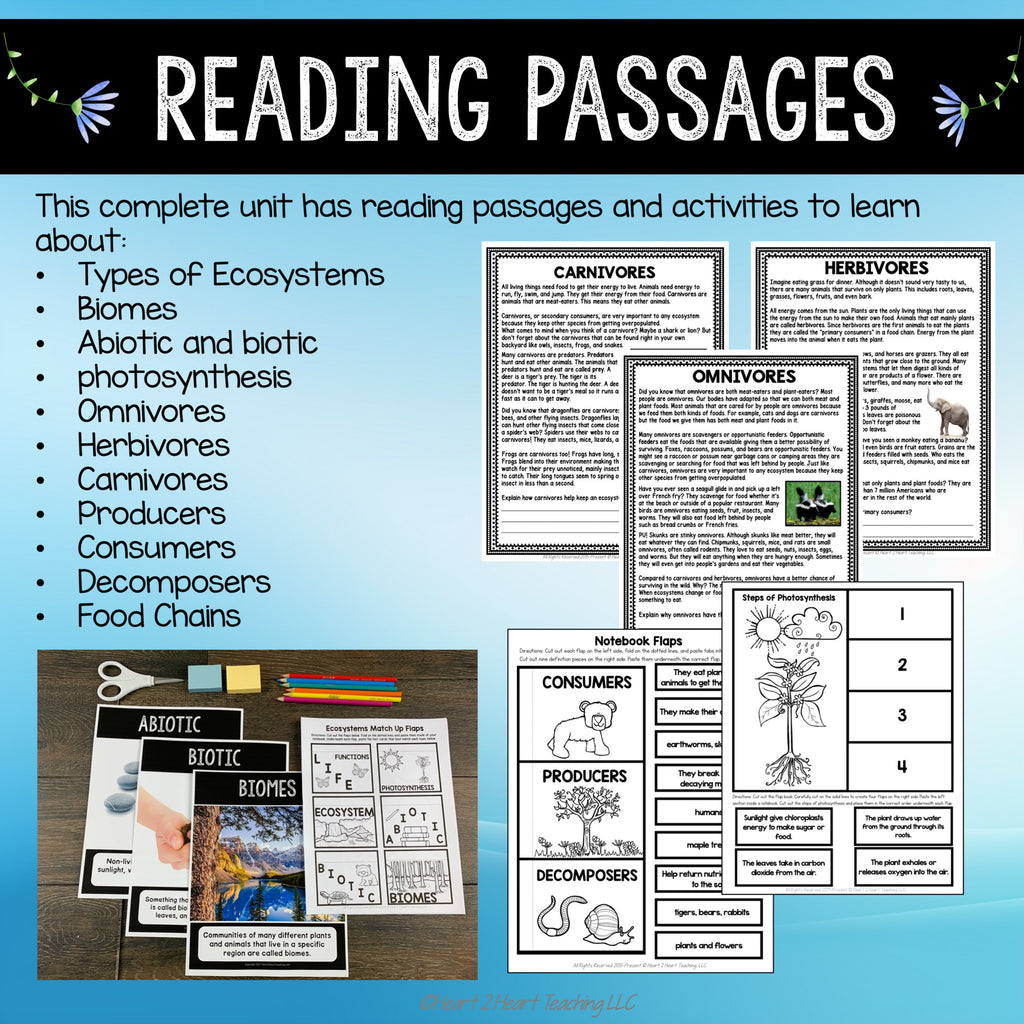 Carnivores, herbivores and omnivores reading passages with notebook flaps for producers, consumers and decomposers
