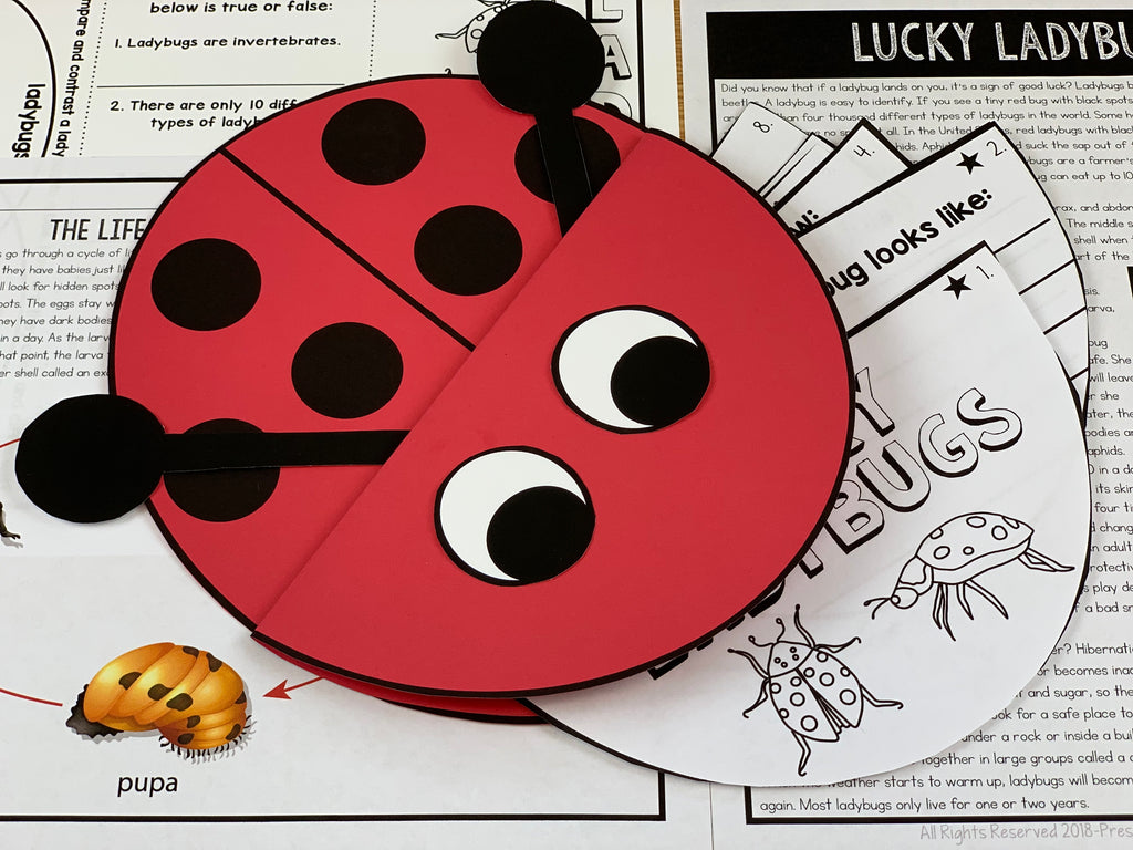 All About Ladybugs Craft and Activity Pack