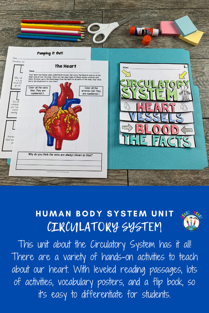 Human Body Systems: Let's Explore Our Circulatory System
