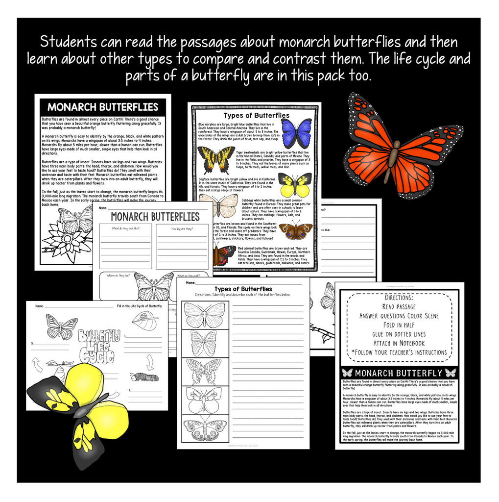 The Life Cycle of a Butterfly Activity Pack