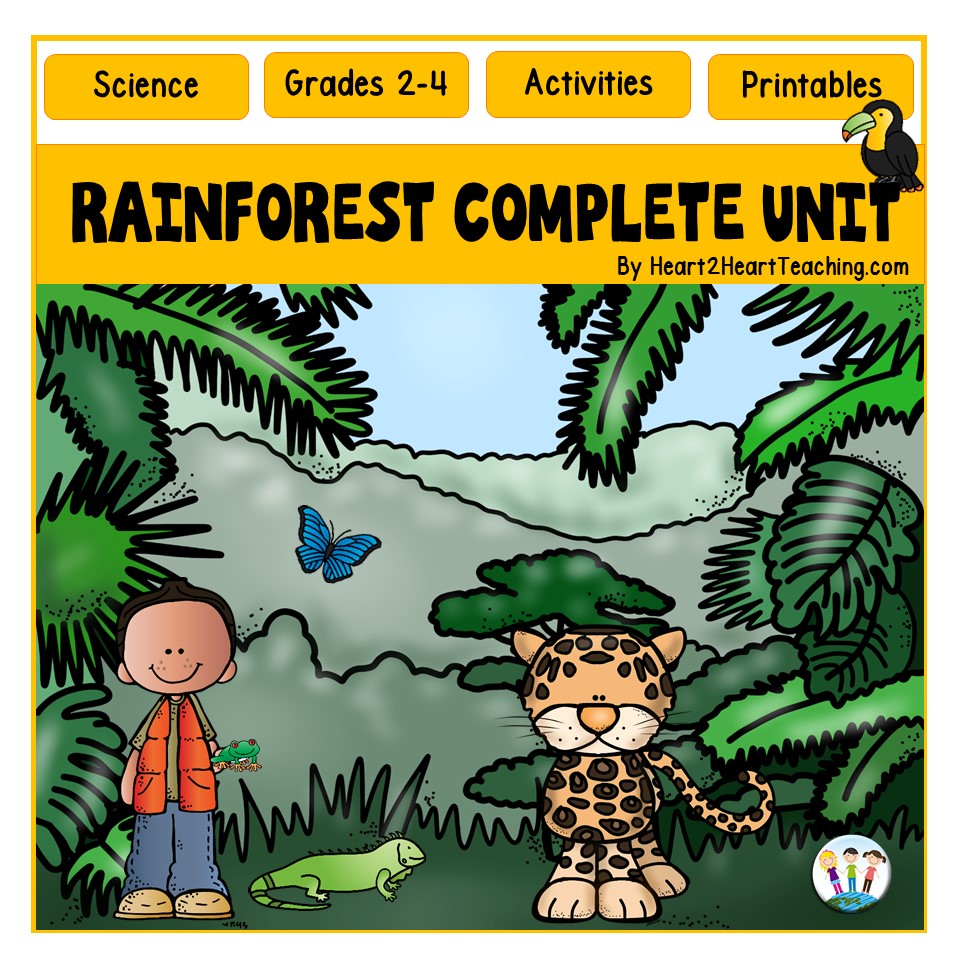 All About the Rainforest Unit