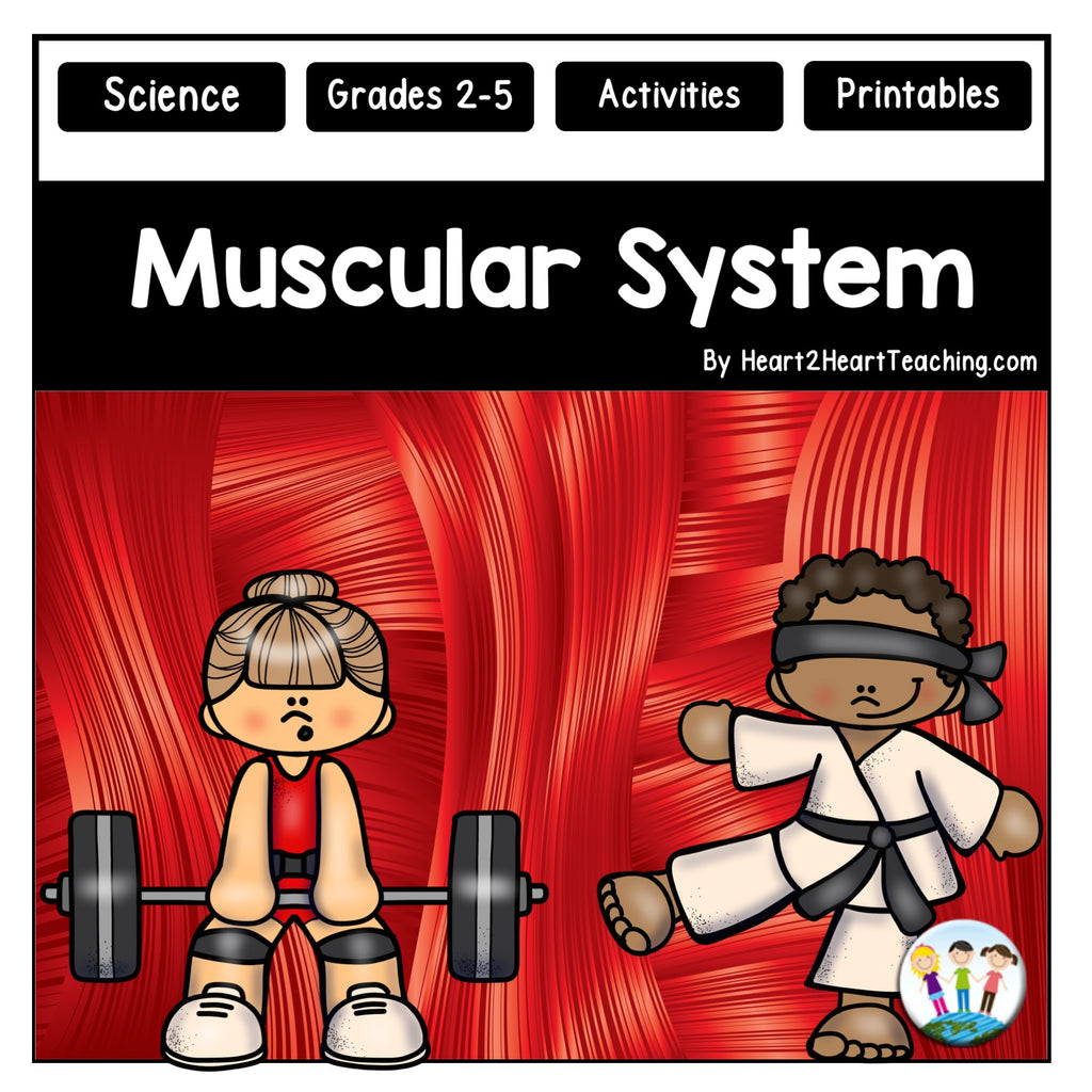 Human Body Systems: Let's Explore our Muscular System