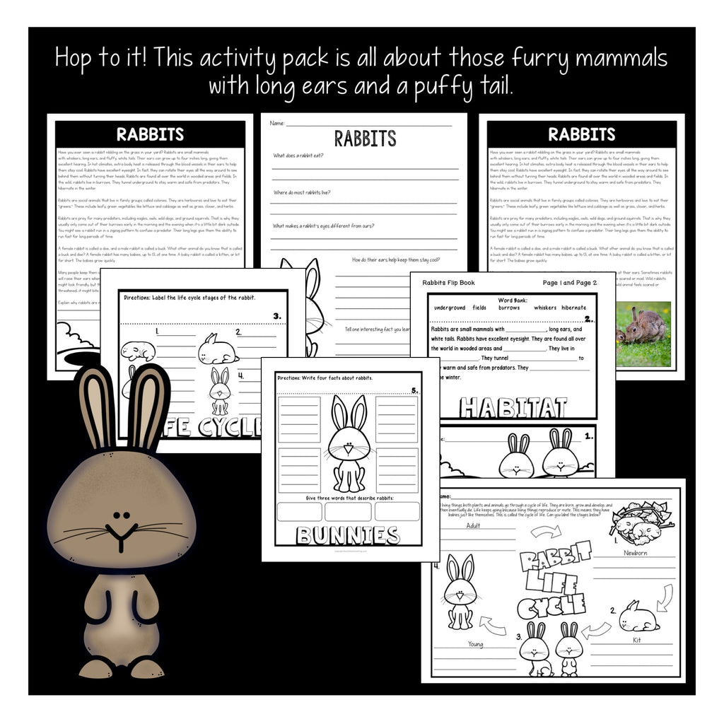 The Life Cycle of a Rabbit Activity Pack