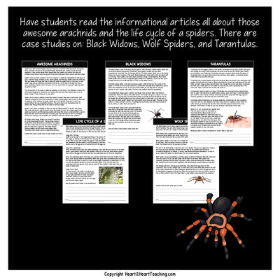 Let's Learn All About Those Creepy Crawly Spiders Activity Pack – Heart ...