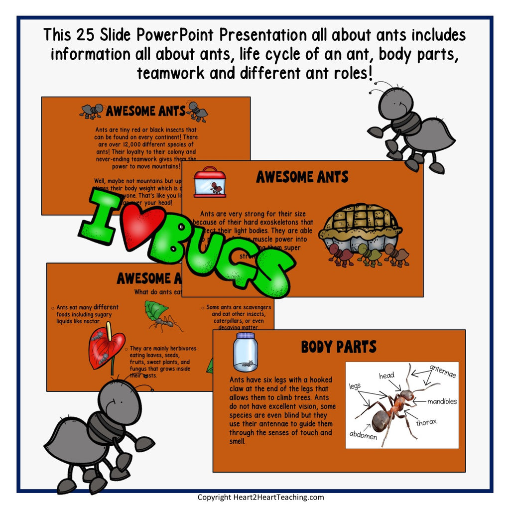 All About Those Amazing Ants Powerpoint
