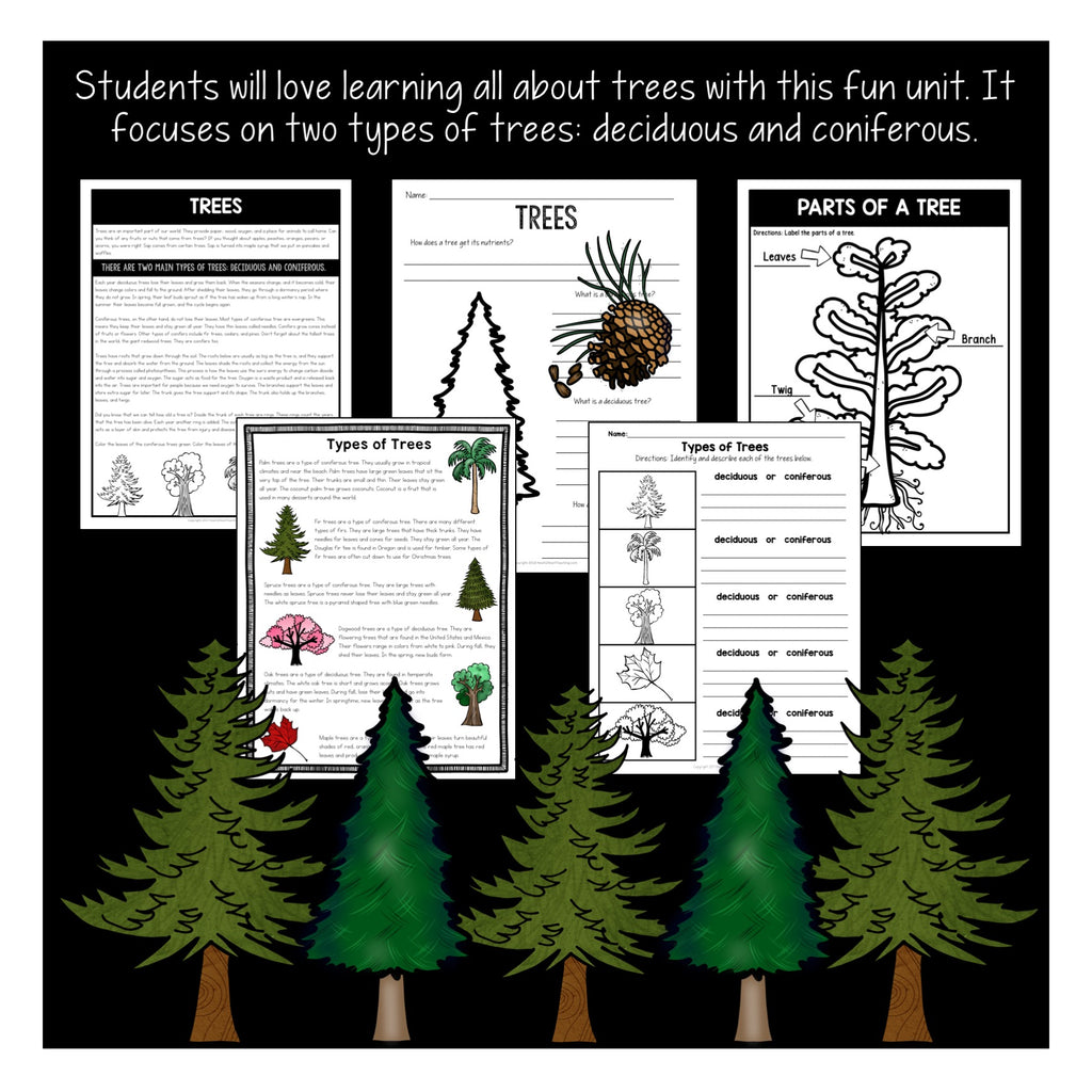 All About Trees Unit: Deciduous and Coniferous