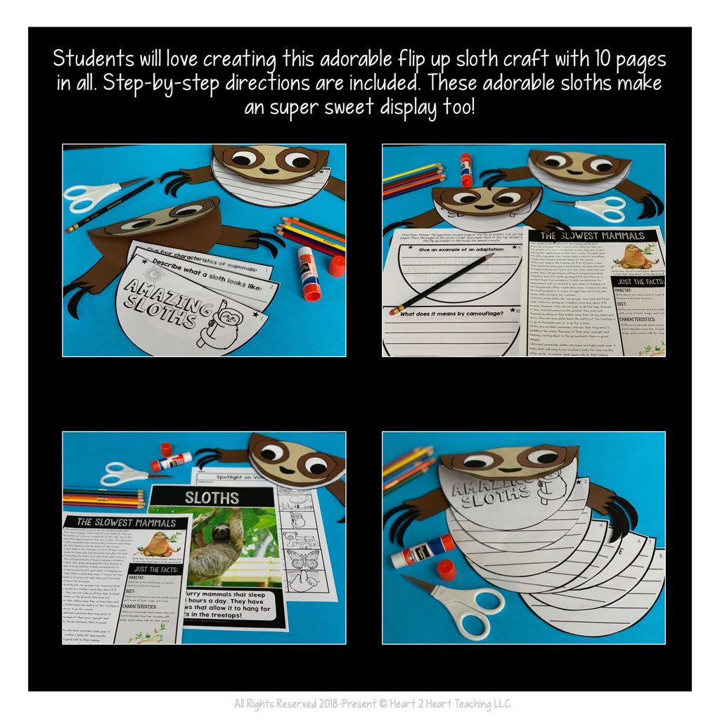The Slowest Mammals: All About Sloths Activity Pack and Craft