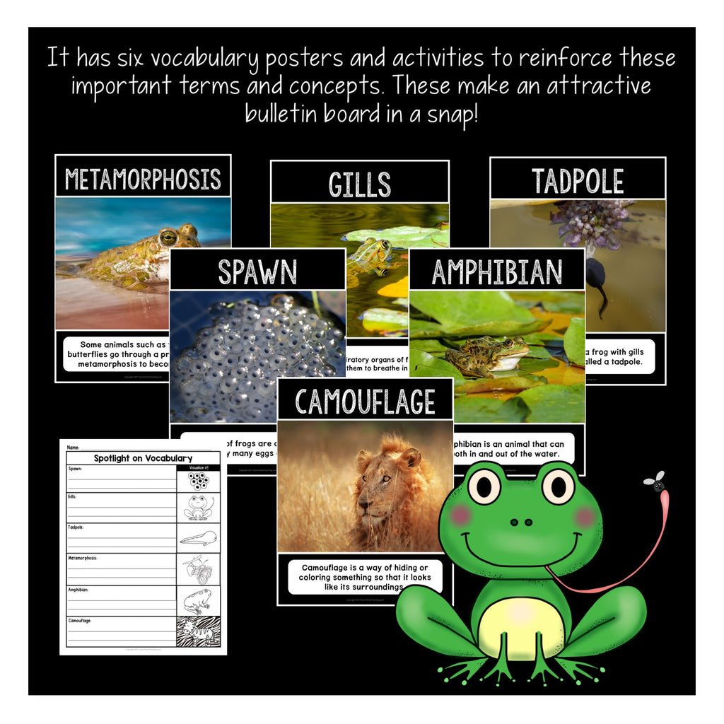 Frogs Course Overview Let's Learn All About Frogs – Heart 2 Heart Teaching