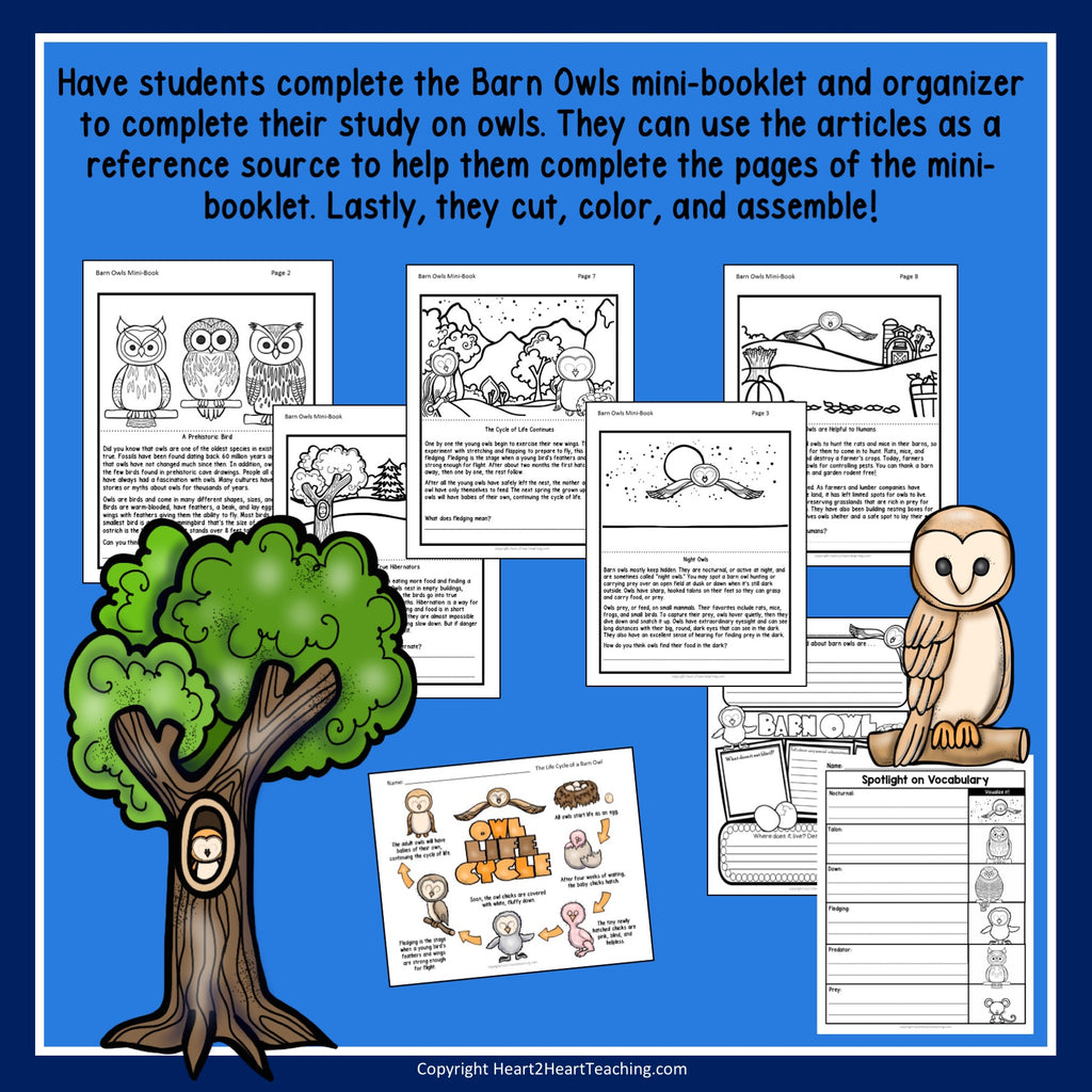 Give A Hoot for Owls: A Non-Fiction Activity Pack