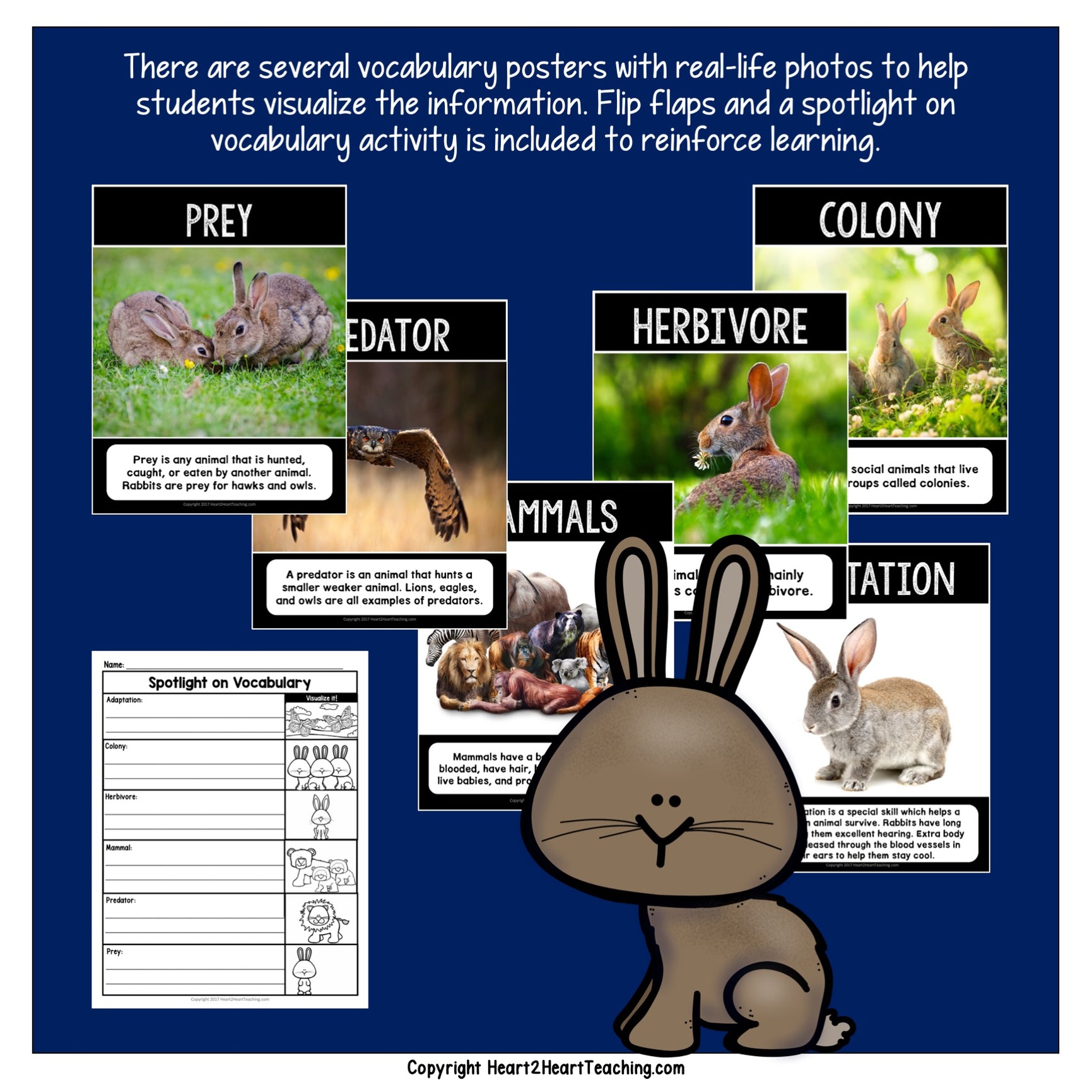 Lesson Plan On Rabbits Rabbits Unit with an Easy Easter Bunny Craft Project – Heart 2 Heart ...