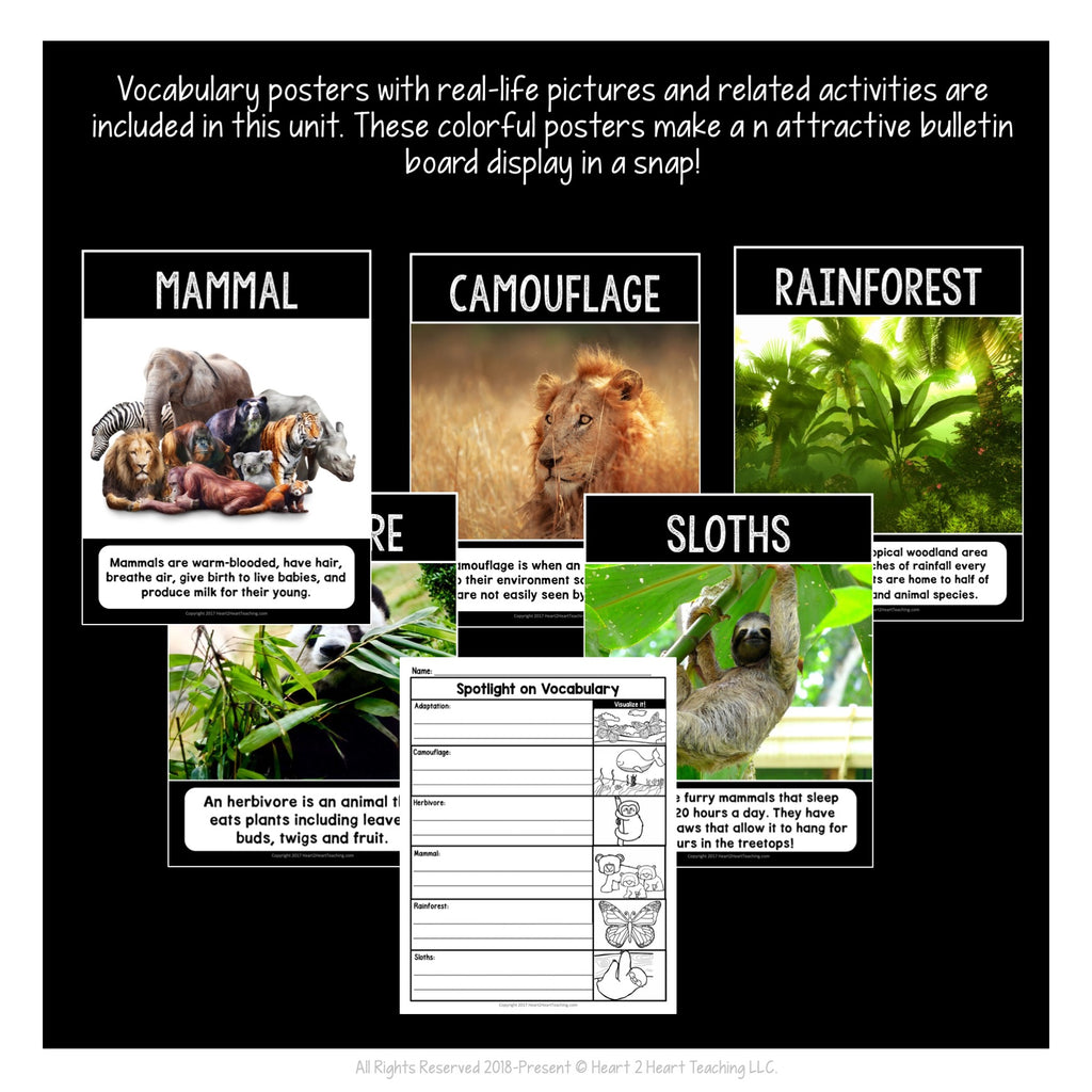 The Slowest Mammals: All About Sloths Activity Pack and Craft