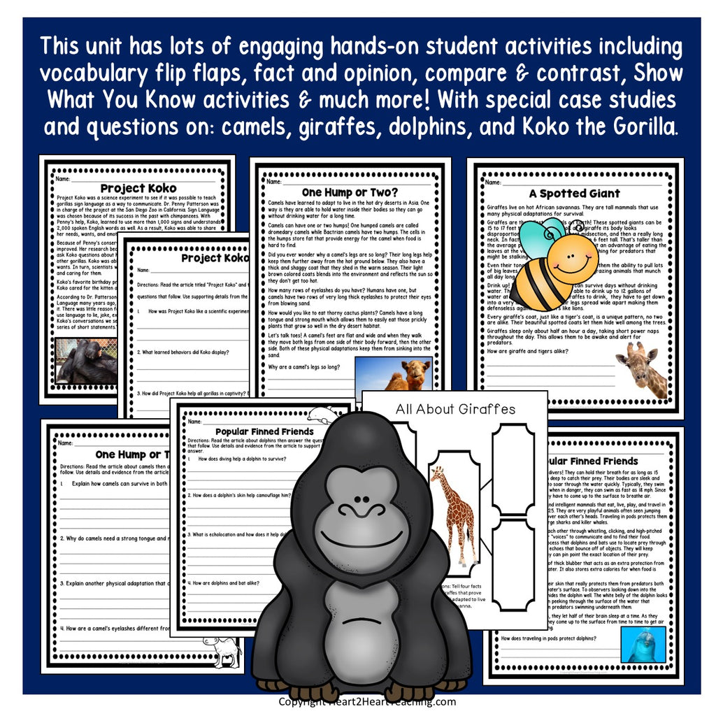 Animal Adaptions Unit with Giraffes, Camels, Dolphins, Gorillas & Jane Goodall