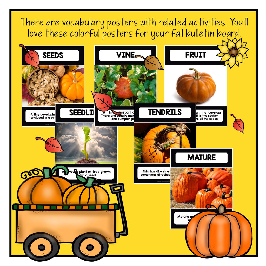 Fall Activities: Pumpkin Activities for Science Centers