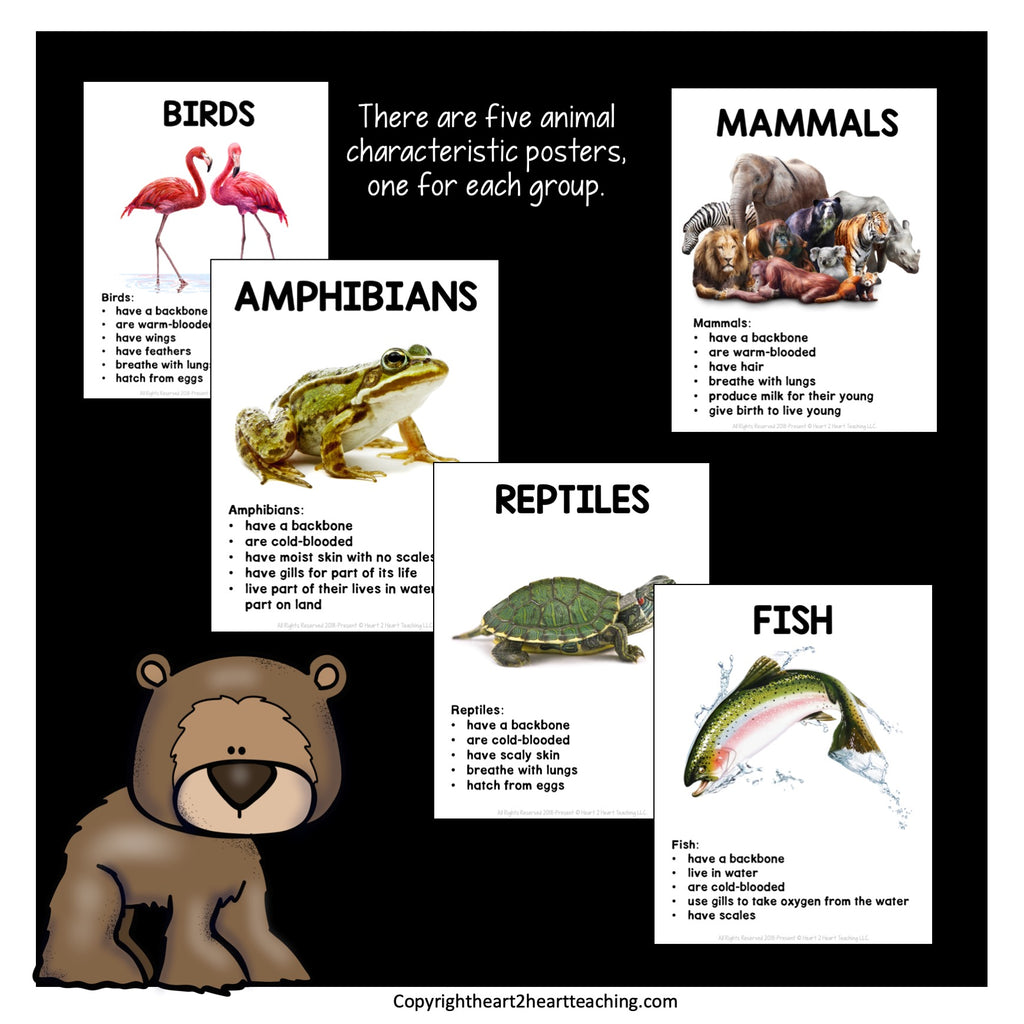 Animal Classification Unit with Mammals, Birds, Fish, Reptiles, and Amphibians