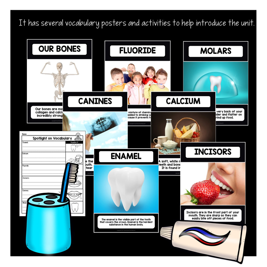 Dental Health Month Activities: Our Bones & Teeth, and the Parts of a Tooth
