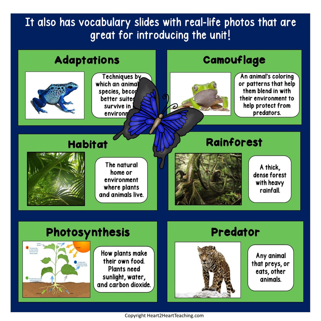 Let's Learn All About the Amazon Rainforest PowerPoint