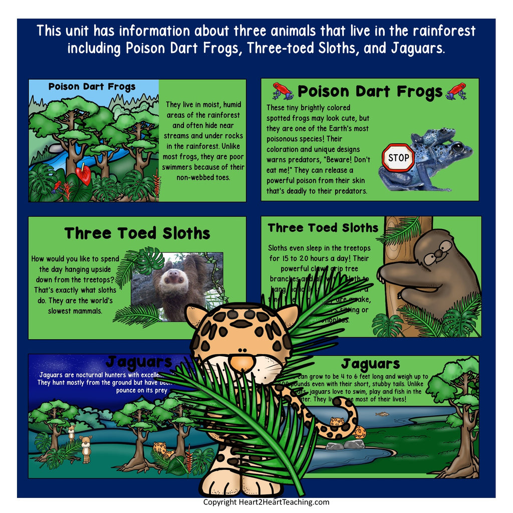 Let's Learn All About the Amazon Rainforest PowerPoint