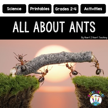 Life Cycle of an Ant Unit