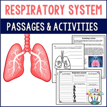 Human Body Systems: Let’s Explore our Respiratory System