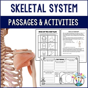Human Body Systems: Let’s Explore Our Skeletal System