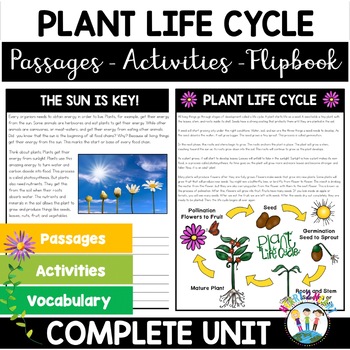 From Seed to Sprout: The Life Cycle of a Plant Activity Pack