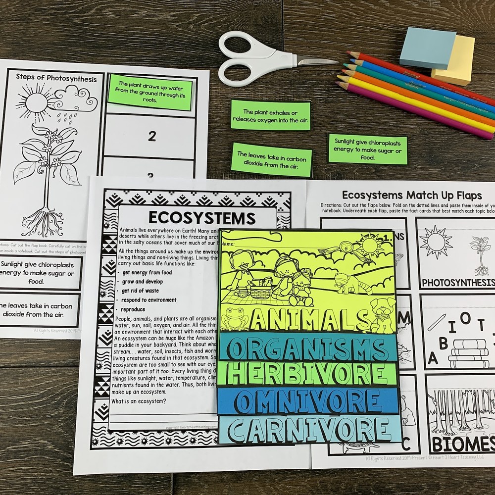 Ecosystems unit